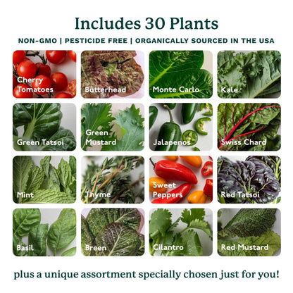 Home 4 Vertical Hydroponics Growing System Kit - 30 Plants